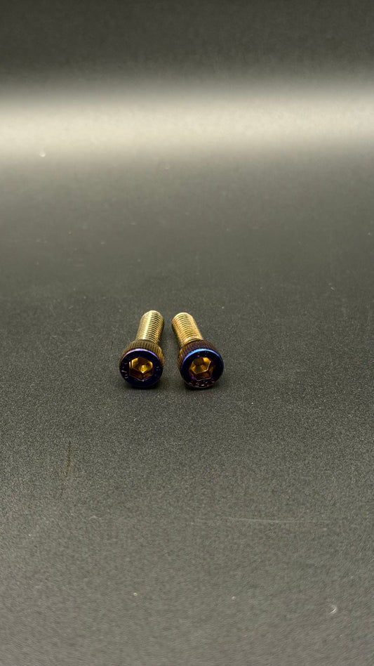 Titanium Gas Tank Bolts